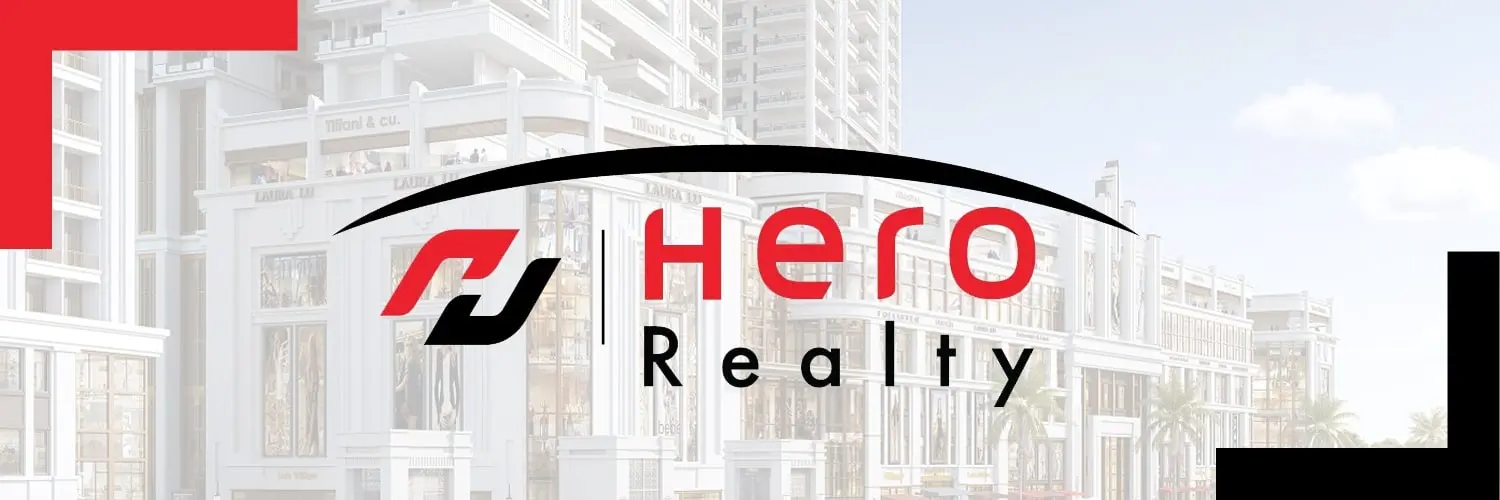 Hero Realty captured the attention of high-intent homebuyers with precision-led OLV ads powered by VDO.AI